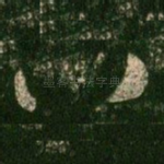 八