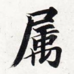 属