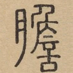 胆