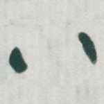 八