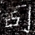 司