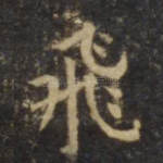 飞