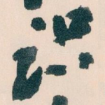 识