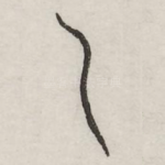 乙