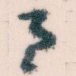月