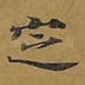 定