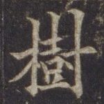 树