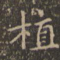 植