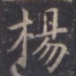 杨