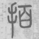 拍