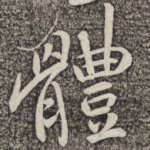 体