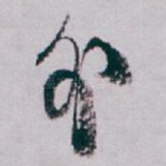 外