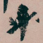 廿