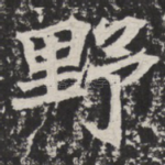 野