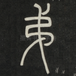 弟