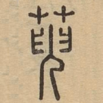 萸