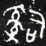 司