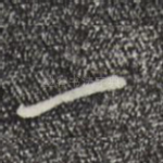 一