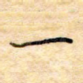 一