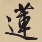 莲