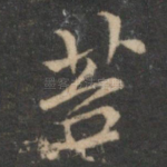 苔