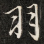 羽