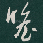 瞻