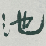 池