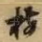 梅