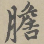胆