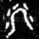 箩