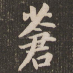 苍