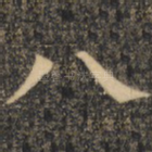 八