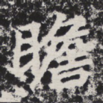 瞻