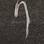 拜