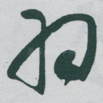 羽