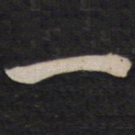一