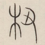椿