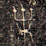 枼