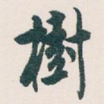 樹