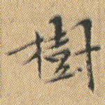 樹