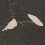 八