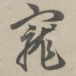宠