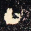 丁