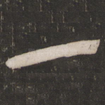 一
