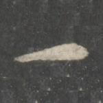 一