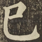 巳