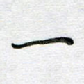 一