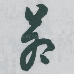 苍