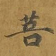 菩